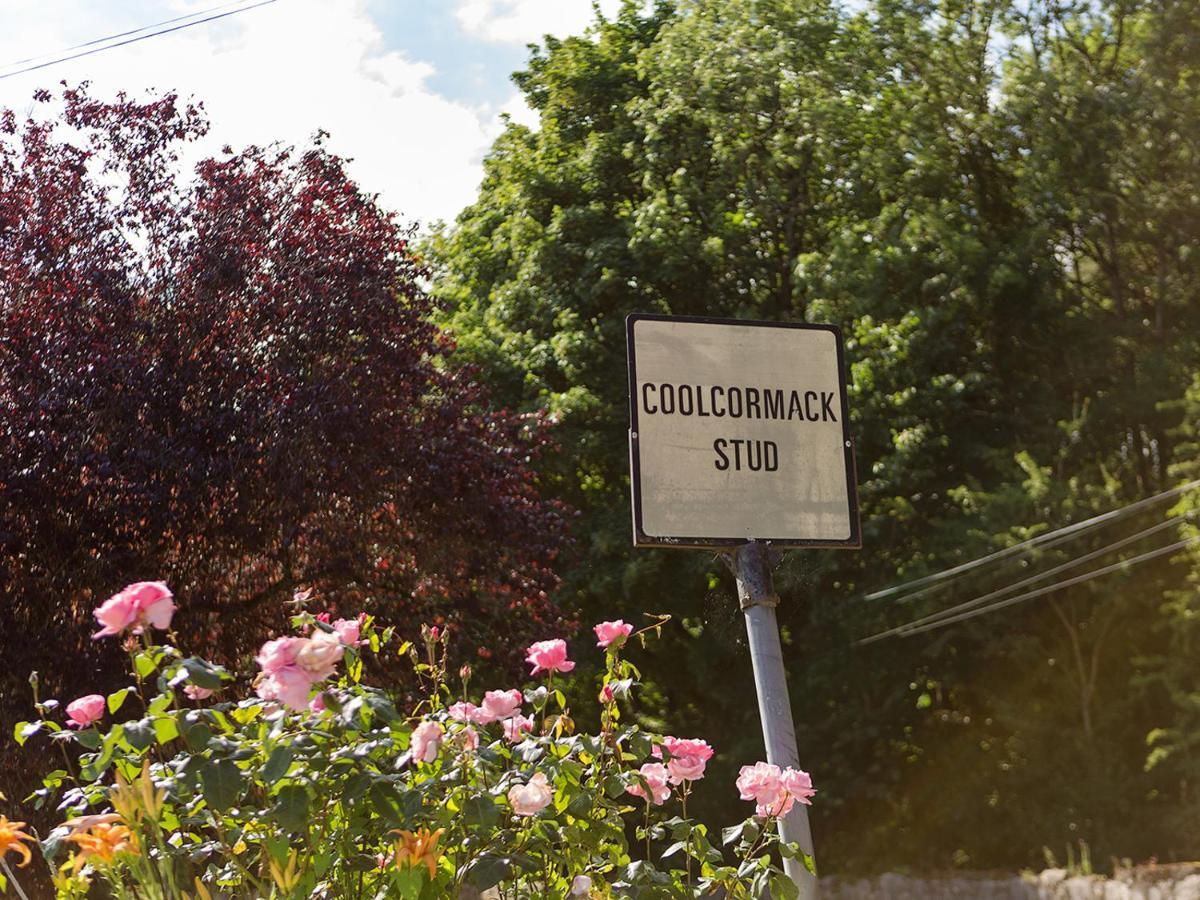 Coolcormack Stud B&B Дангарван Экстерьер фото